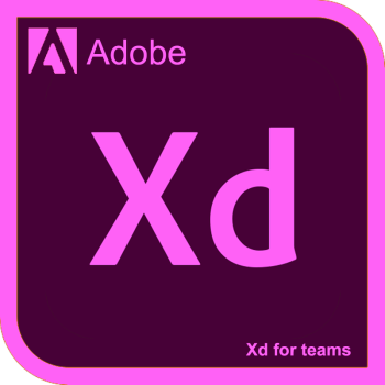 Adobe XD English (Year)